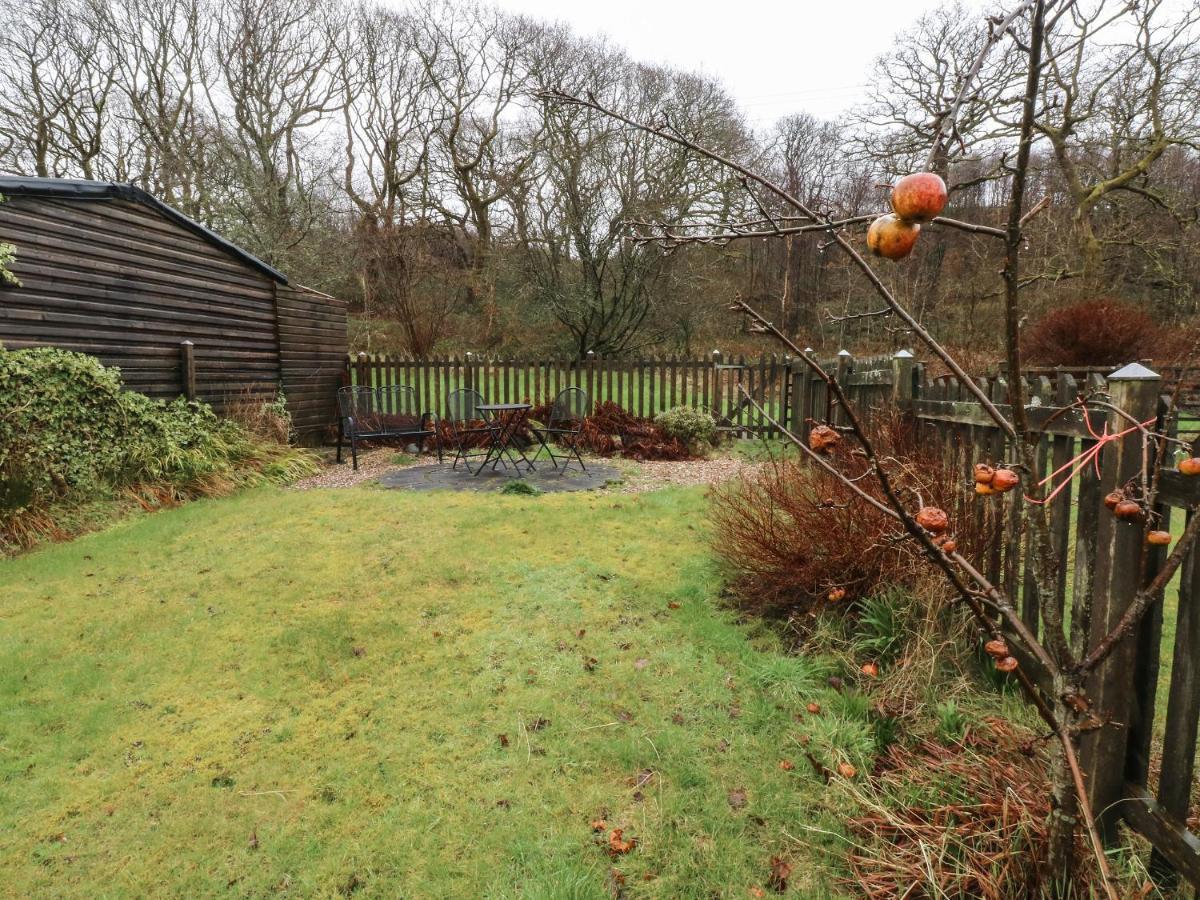 Brook Cottage Swansea Zewnętrze zdjęcie